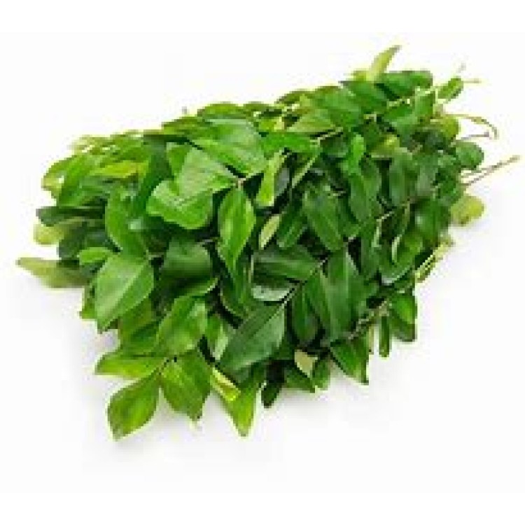BUNCH OF CURRY LEAVES