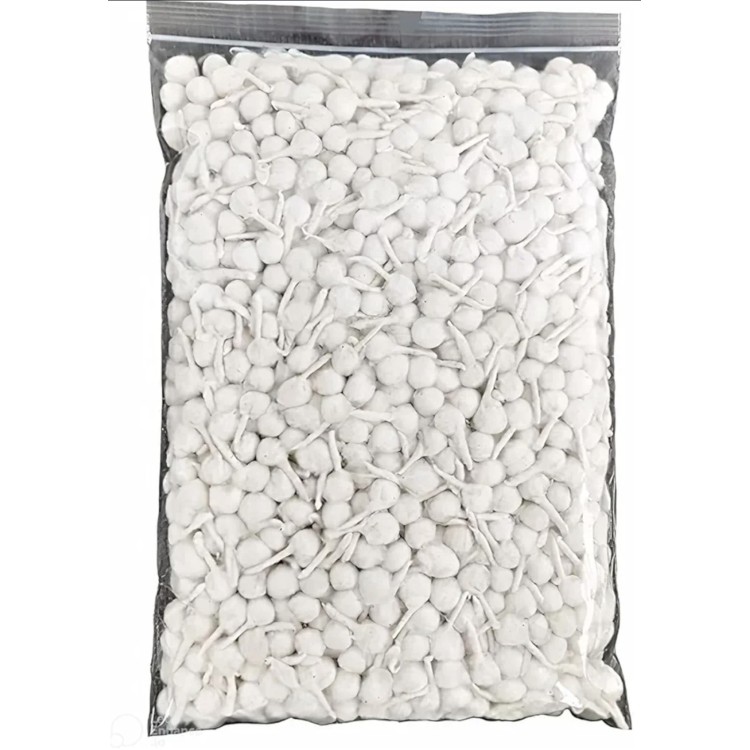 cotton big