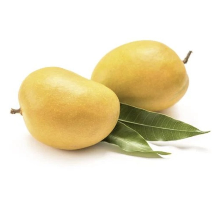 DEVGADH MANGO 12PCS 