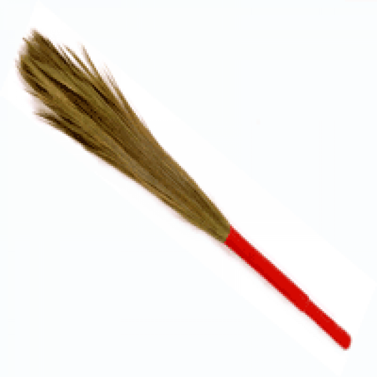 INDIAN Brooms Grass Soft 